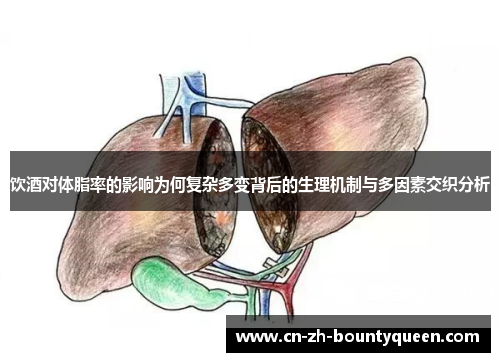 饮酒对体脂率的影响为何复杂多变背后的生理机制与多因素交织分析 饮酒对体脂率的影响为何复杂多变背后的生理机制与多因素交织分析
